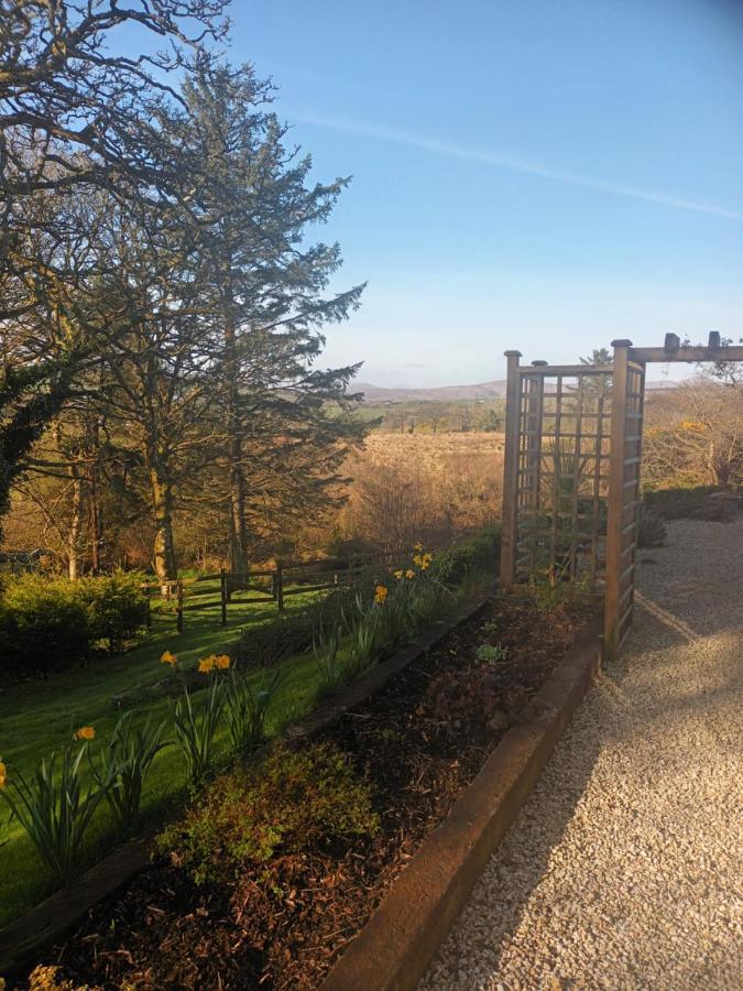 Holly Lodge Letterkenny Extérieur photo